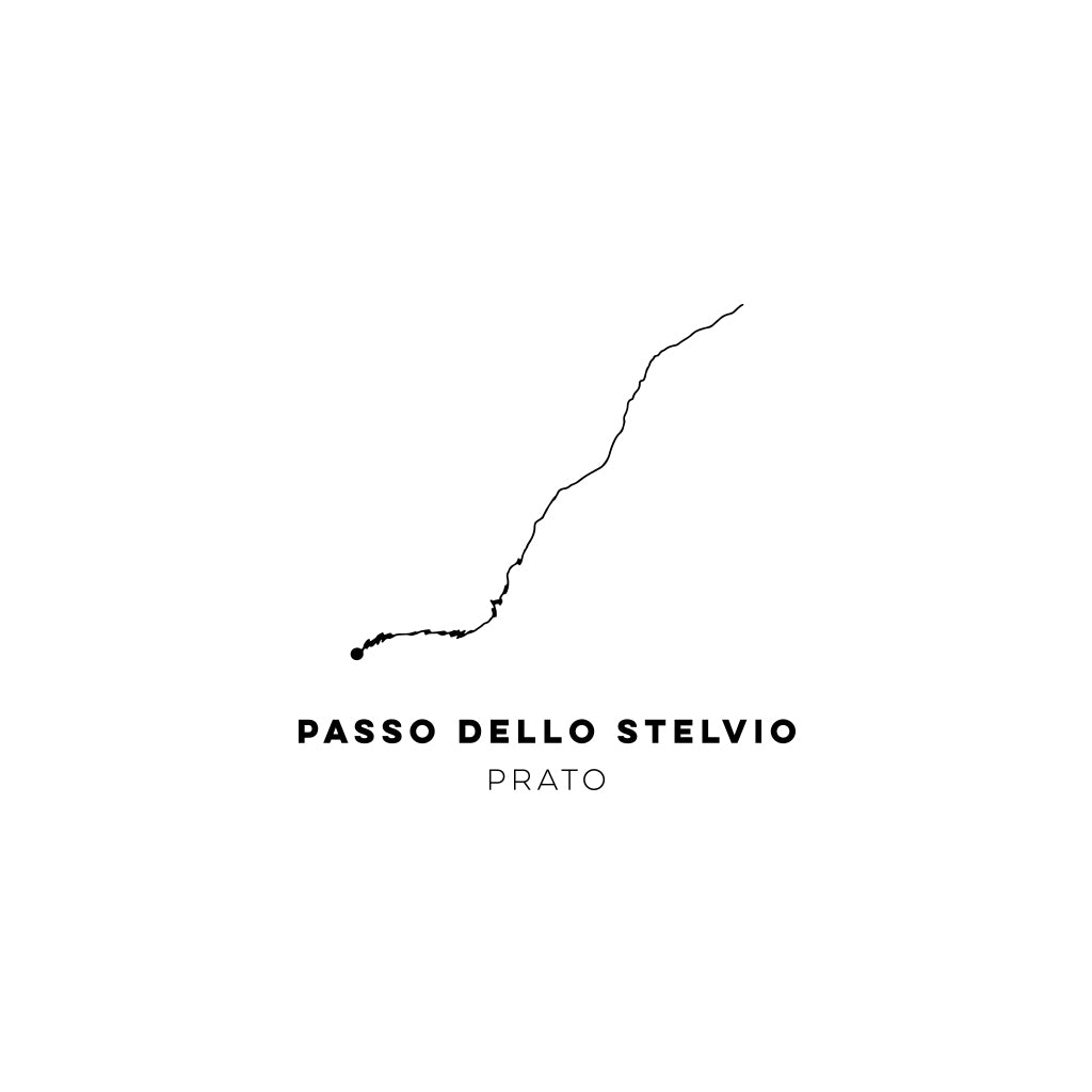 T-Shirt PASSO DELLO STELVIO
