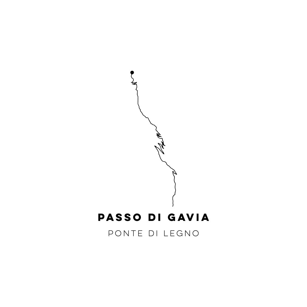 T-Shirt PASSO DI GAVIA